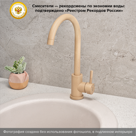 Смеситель для кухни PMC SUS124BNK-017F