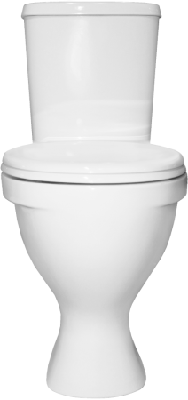 Унитаз-компакт напольный Sanita Формат эконом FRTSACC01090113, белый