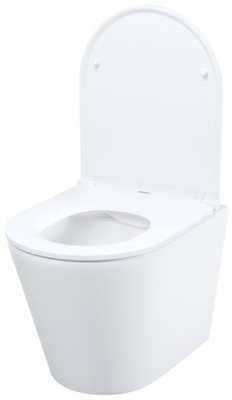 Унитаз подвесной Iddis Calipso CALRNSEi25. Распродажа Образец